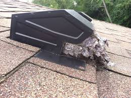 Dryer line cleaning from Roof top